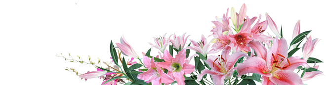 Ayurina-Indira-Psychologie