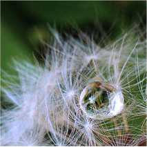 Ayurina - Психология онлайн